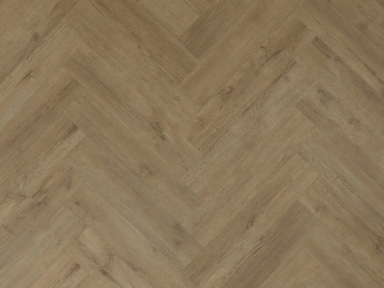 Spectra Luxury Gluedown Vinyl Flooring Biscotti Oak Herringbone - Image 4