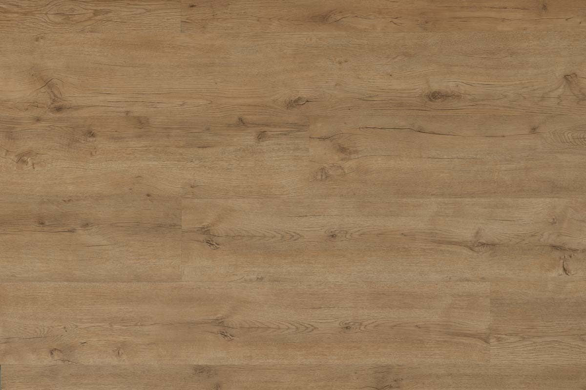 Spectra Luxury Gluedown Vinyl Flooring Biscotti Oak Plank - Image 4